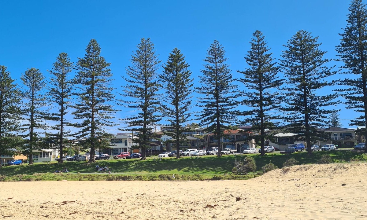Diamond Beach House | 5 minutes to beaches park & beach walks pet friendly