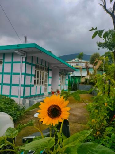 Gunehr House | BASERAA BIR - A Slow Traveler's Home