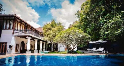 Moira House | Birdsong,Goa