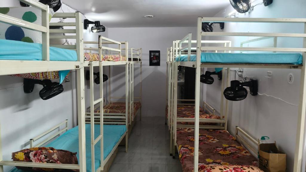 Charbagh Hostel | Bunkstay hostel