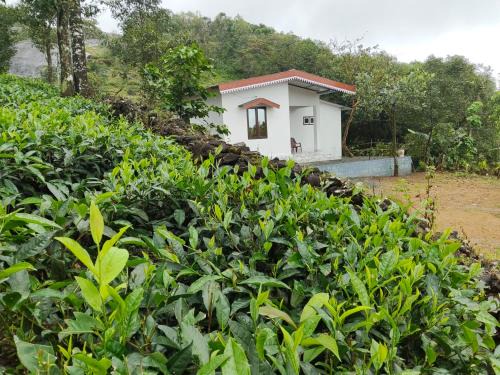 Elappara Villa | Cloud Cabin vagamon