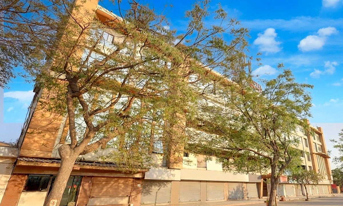 Ahmedabad House | Collection O Odhav Circle