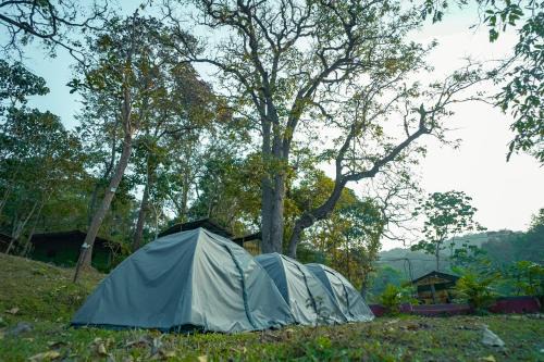 Dandeli Other | Dandeli River Valley Resort