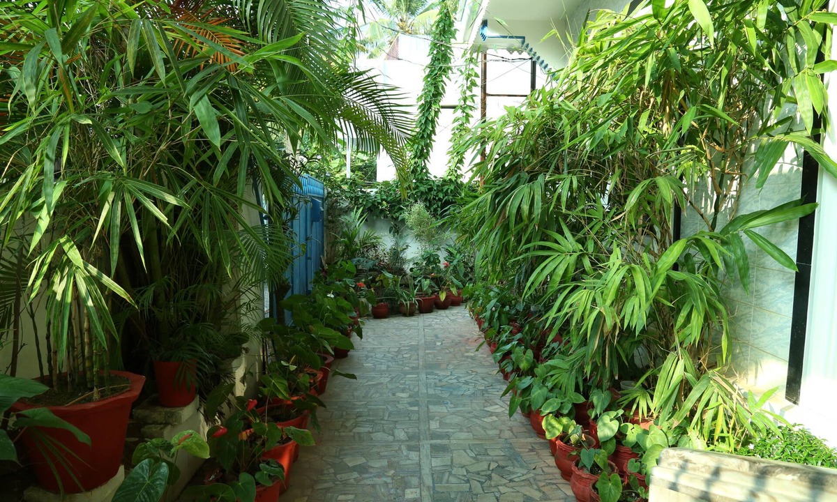 Fort Kochi Hotel | Dream Catcher Home Stay