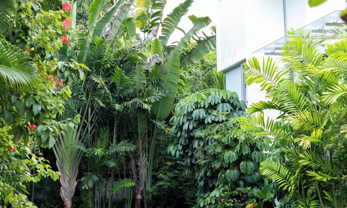 Mapusa Villa | El Tesoro-II J3