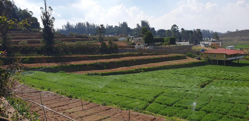 Ooty House | Farm House -ooty