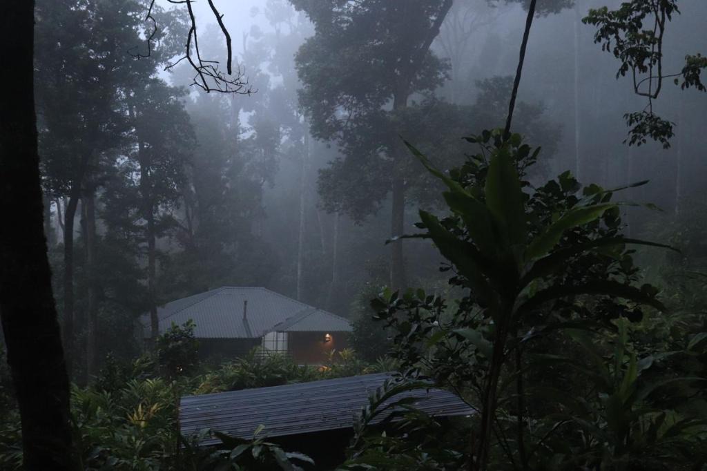 Devikolam Hostel | FREEDOM HOUSE, Munnar - A Backpackers Hostel