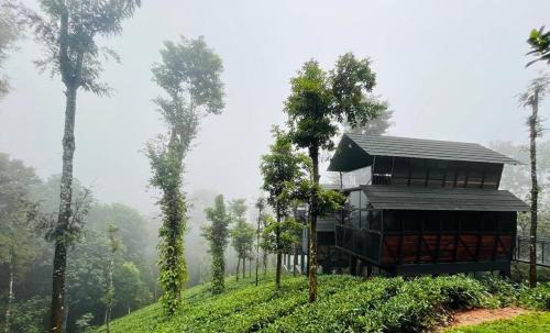 Vayittiri Hotel | Fresh Wave Resort With Private Pool Tree House - Soochipara - Wayanad