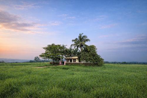 Hosdurg House | Golden Breeze Bekal