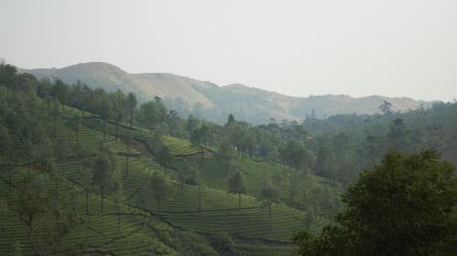 Peermade House | Golden Hillview Homestays