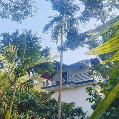 Virarajendrapet House | Golden Valley Abode