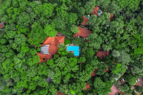 Vazhayil Resort | Greenwoods Thekkady - A Five Star Classified Resort