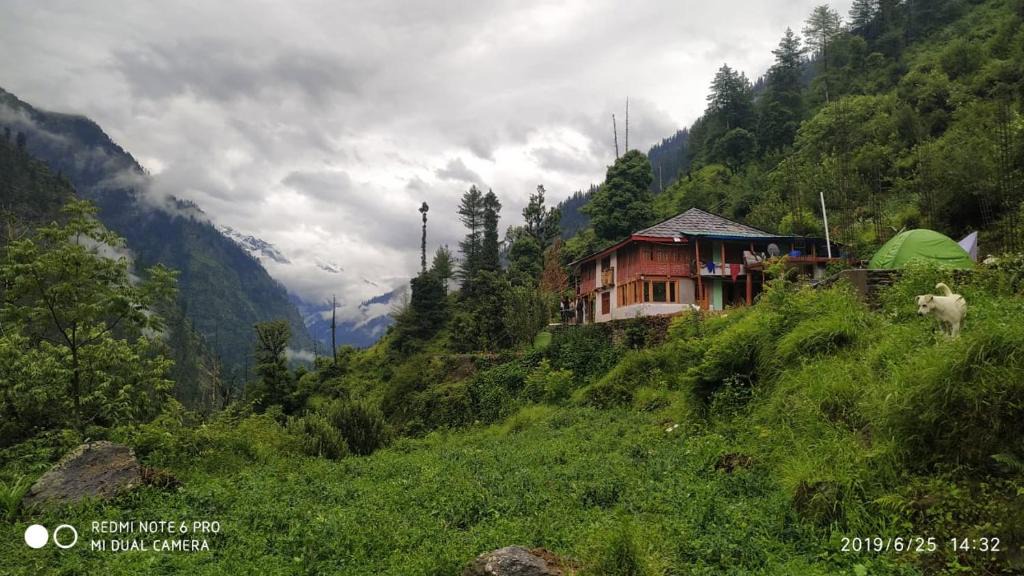 Kullu House | Hakuna matata - by Timon & pumba