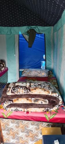 Dugalbitta Other | Himalayas camping chopta tungnath