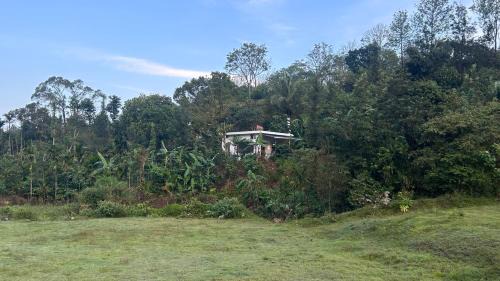 Kalakandur House | Homestay in coorg big stone hills