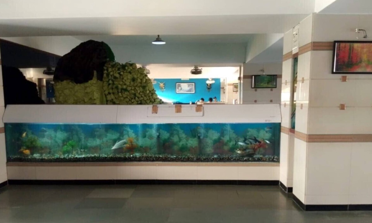 Kamrej Hotel | Hotel Swagat Inn And Guest House
