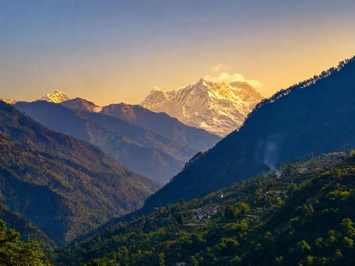 Ukhimath Hotel | Hotel Vidya Om Palace kedarnath road