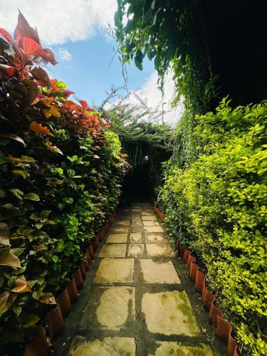 Kanha Hotel | Istaqbal Hotel Mukki