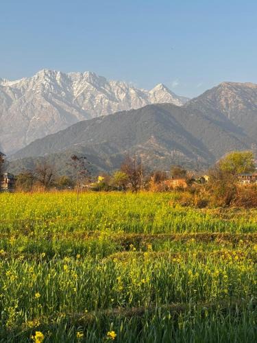 Chachian Apartment | Kahani Cottages Palampur