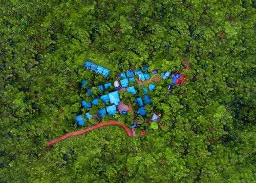 Vythiri Resort | Lakkidi Village Resort Wayanad