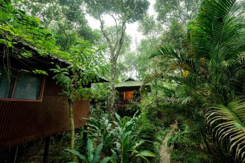 Pirmed House | Monsoon Retreats by DAAN