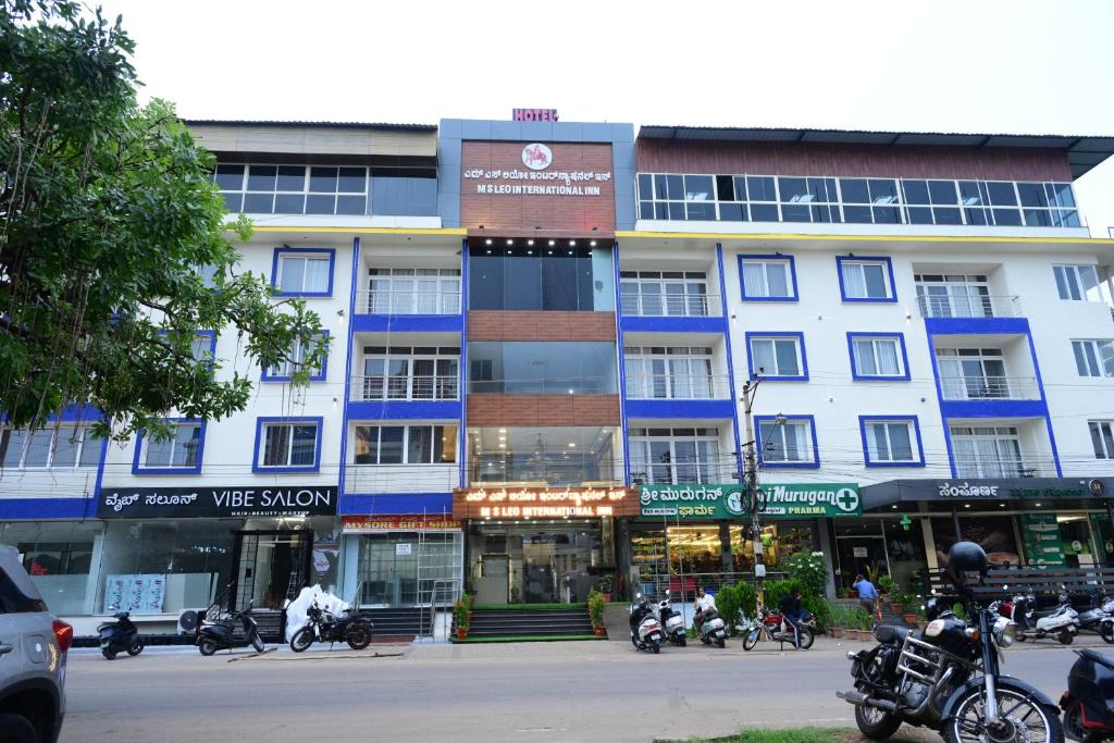 Vijayanagar Hotel | MSLeoInternationalINN