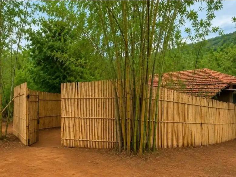 Ambavna House | Nisargshala's Cozy Cottages