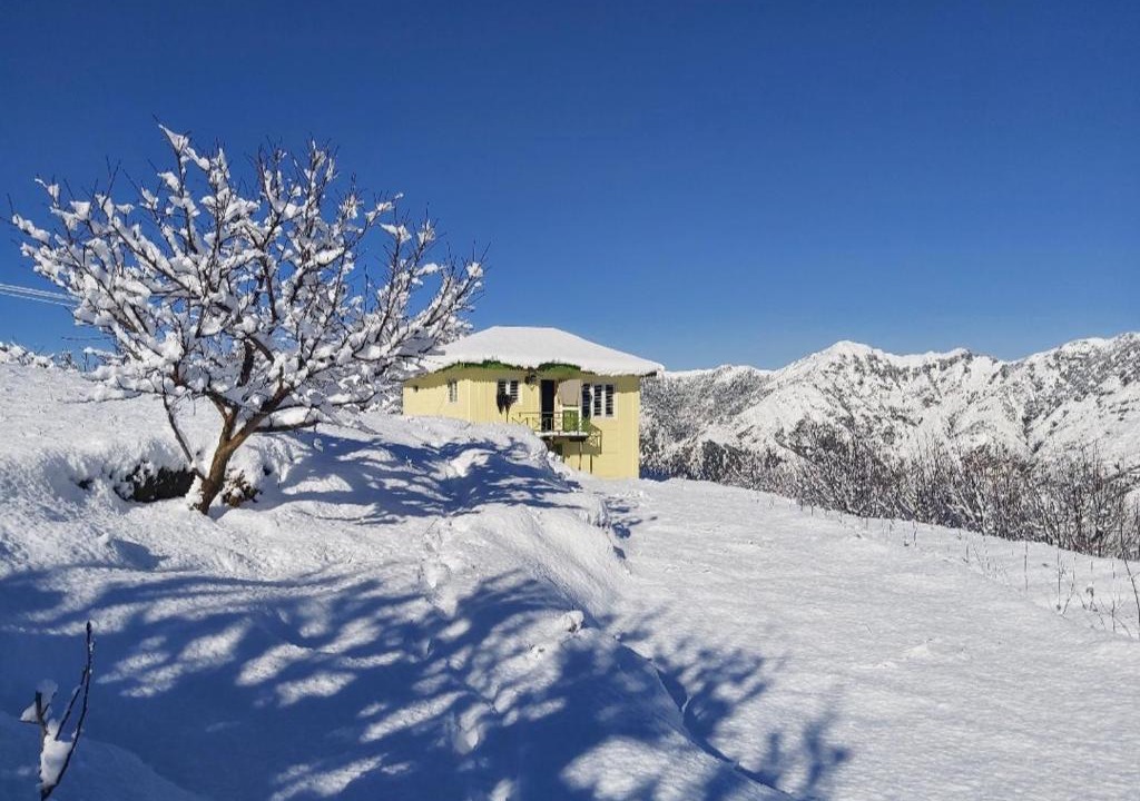 Shilla House | Peach Villa Farm Stay
