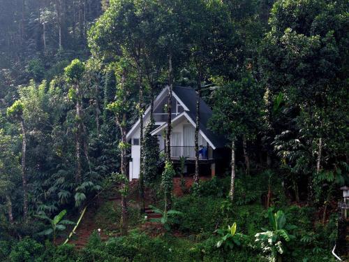 Kunchithanny House | Pepperico Villas- Misty Hills Retreat near Munnar
