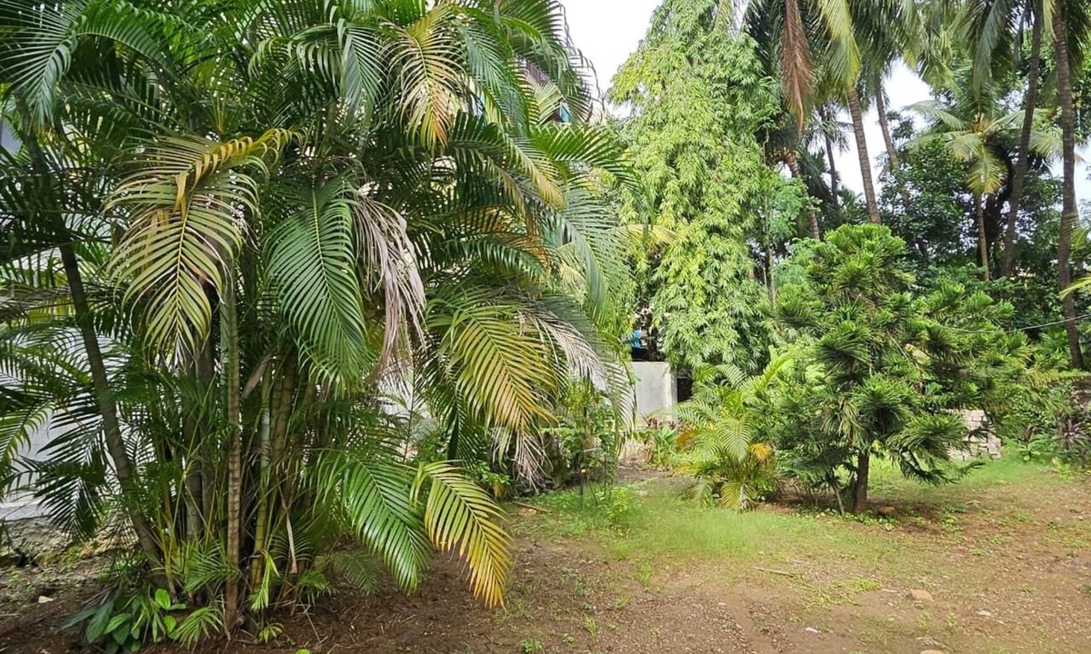 Alibaug Hotel | Prabhukrupa Tourist Farm