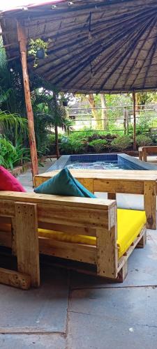 Arambol Hostel | Red Monkeys Hostel