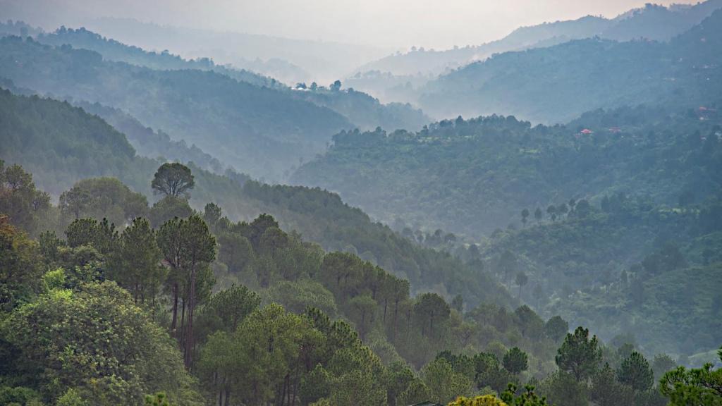 Dharampur Villa | RedhomeX THE CENTURION