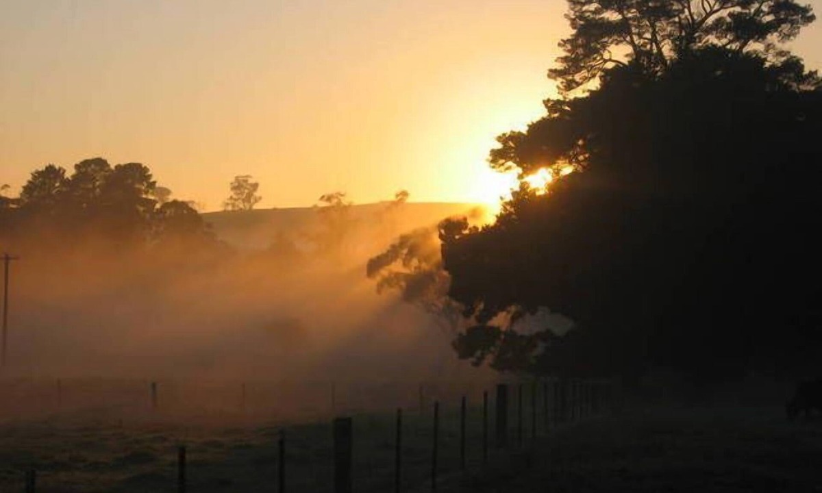 Bundanoon Apartment | SELF-CONTAINED STUDIO; PRIVATE "FERNDALE" B&B Farm Stay 5mins to BUNDANOON