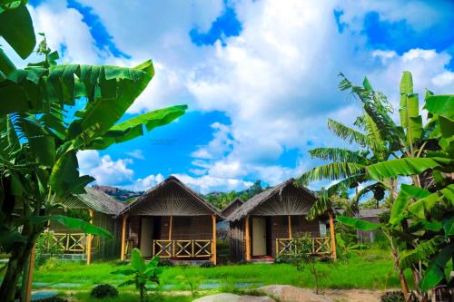 Kamalapur Resort | Shanthi Dhama Resort, Hampi