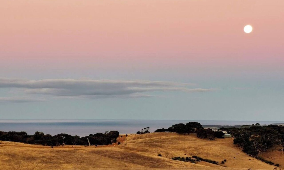 Duncan House | Still Windy | Secluded Couples Retreat Near Snelling Beach