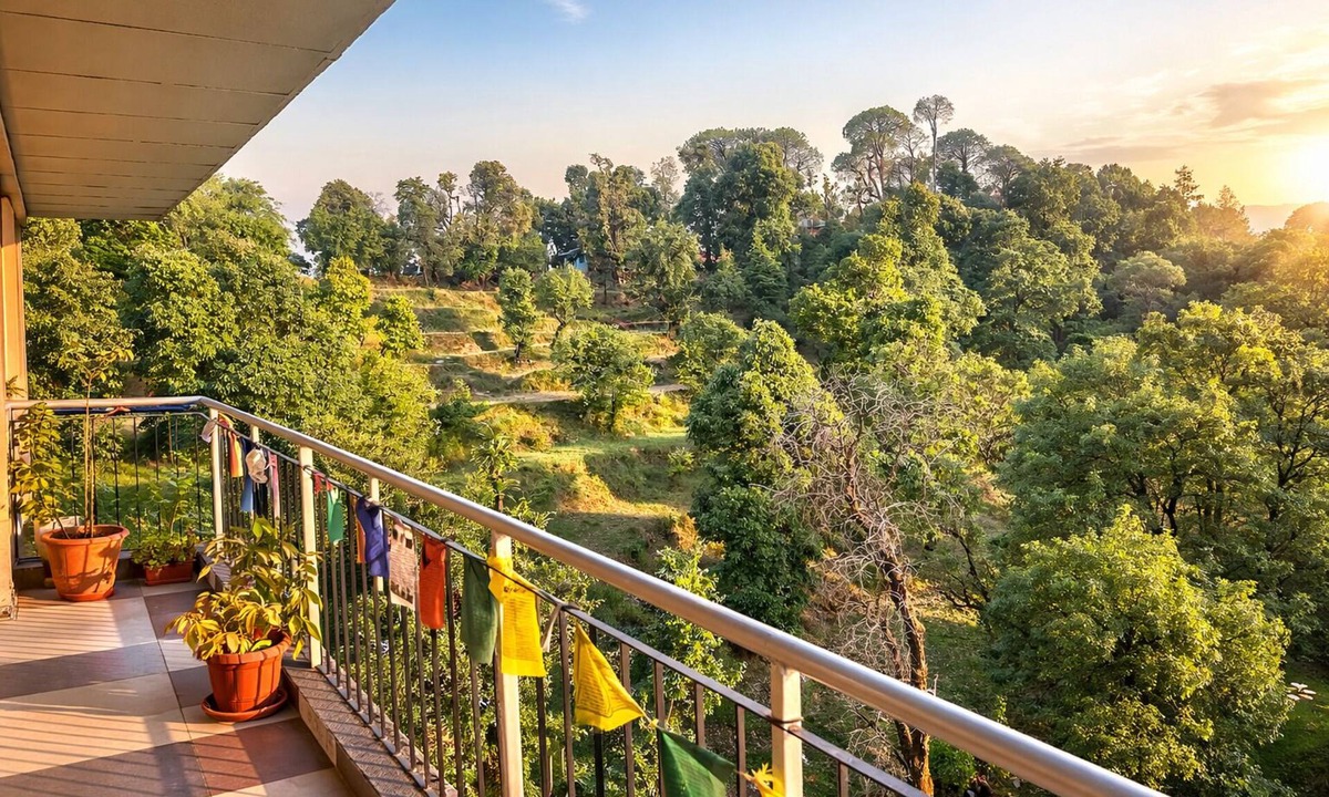 Naddi House | sunny homestay