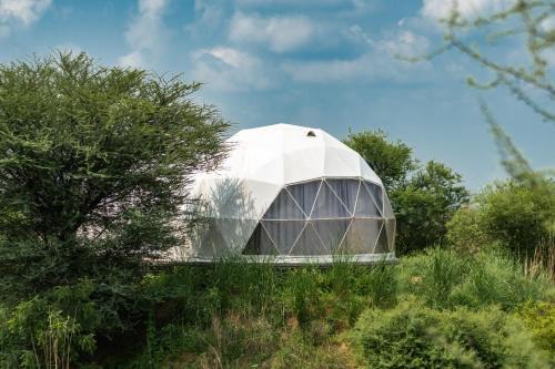 Achrol Other | Teela- The Glamping Resort, Jaipur