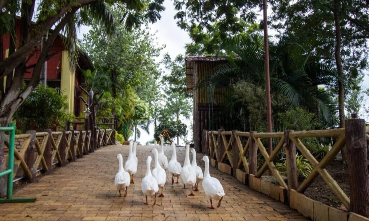 Jabalpur Hotel | The Grand Gopala