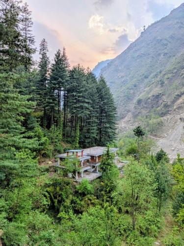 Gushaini Hostel | The Woods - Tirthan Valley