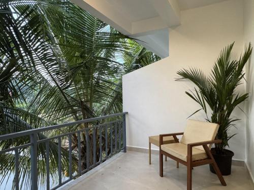 Arambol Hostel | Travo Tales Goa