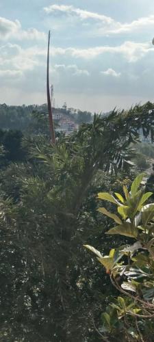 Yercaud Hotel | UP enterprices