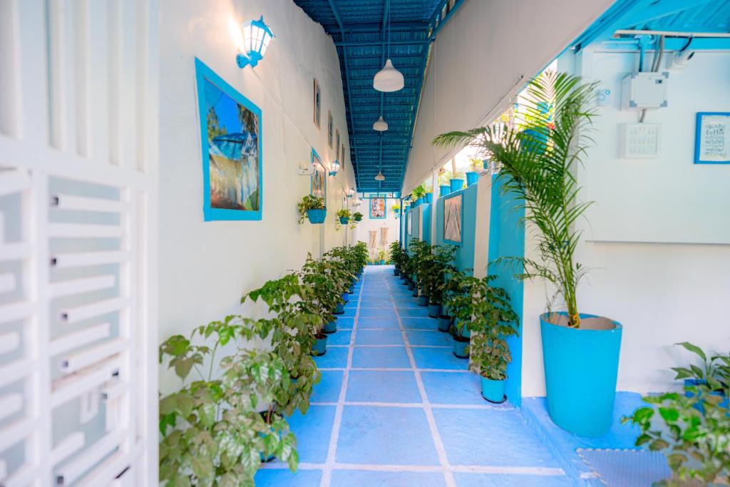 Arambol Hotel | Viik Resort Near Arambol Beach North Goa