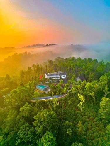 Vayittiri House | Villa Tesori Homestay Wayanad