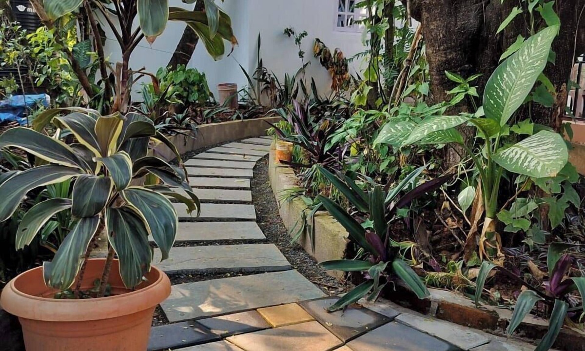 Mazal Waddo Hotel | Whispering Palms Anjuna