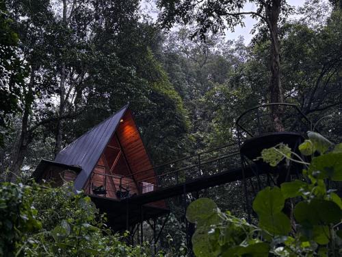 Vayittiri Other | Wildvibes India