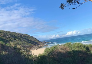 Immaculate designer house-sweeping views over iconic Blueys Beach 3min walk away