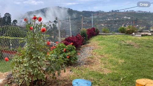 Kodaikanal Villa | Akshay INN