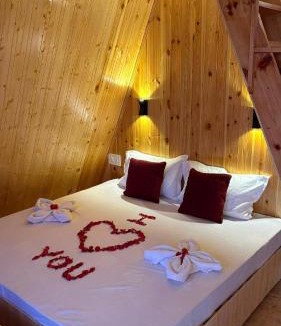 Shangarh House | Alpine Lodge And Stays