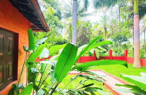 Ramanagara Villa | Ambara Kovilakam Private Pool Villa By Travent Mug