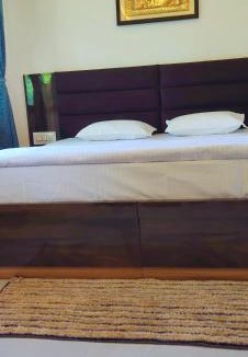 Mount Abu Villa | Amri's Villa